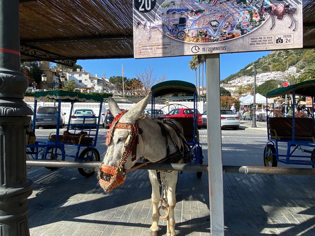 Plaza de la Constitución-米哈斯镇必去景点