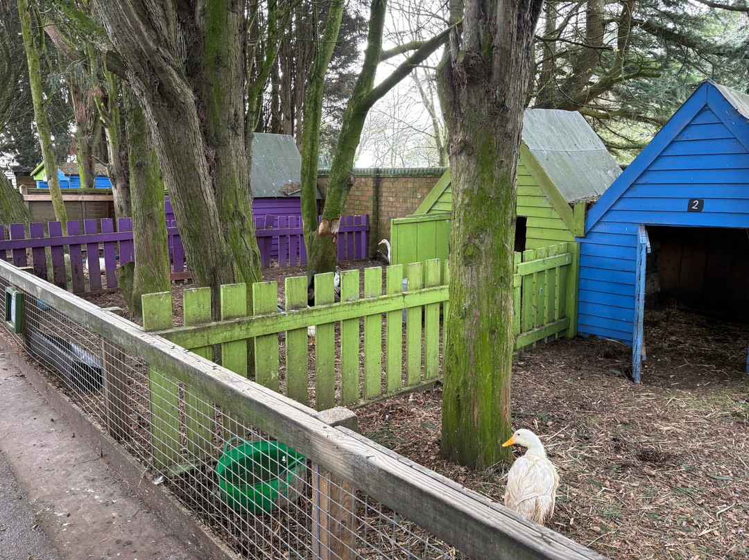 Ash End House Children's Farm-塔姆沃思必去景点
