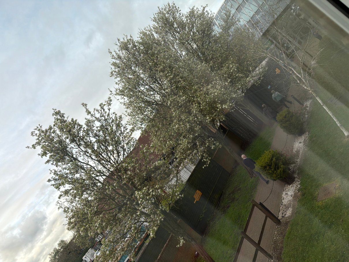 伦敦斯坦斯特德机场温德姆华美达酒店-官方