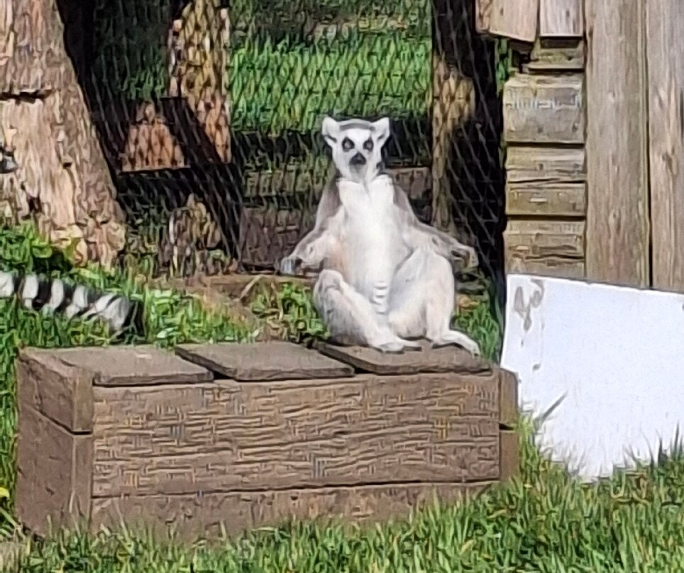 Manor Wildlife Park-St. Florence必去景点