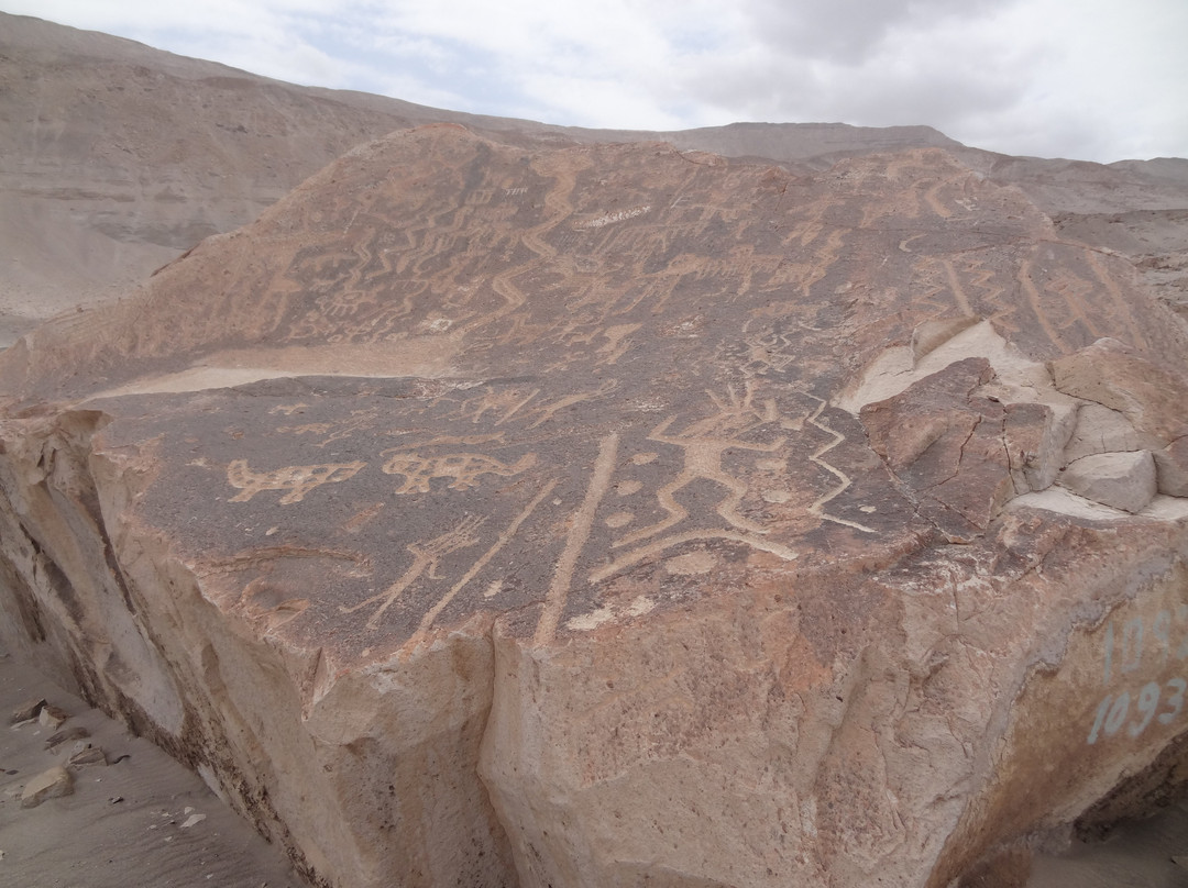 Museo de la Catedral de Arequipa-阿雷基帕必去景点