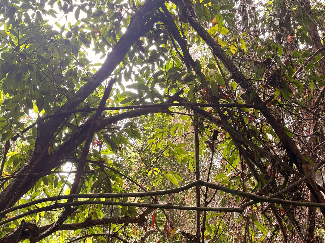 Banlung Nature Trekking Tours-邦隆必去景点