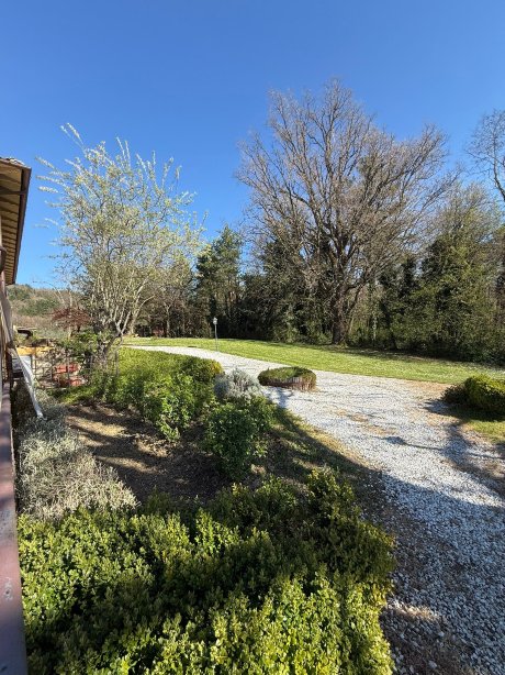 Tenuta Risalpiano-官方