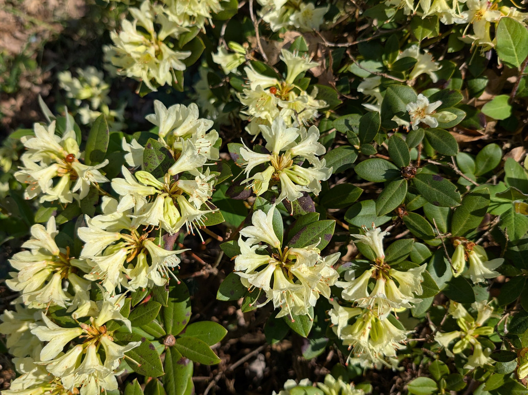Green Island Gardens-Ardleigh必去景点