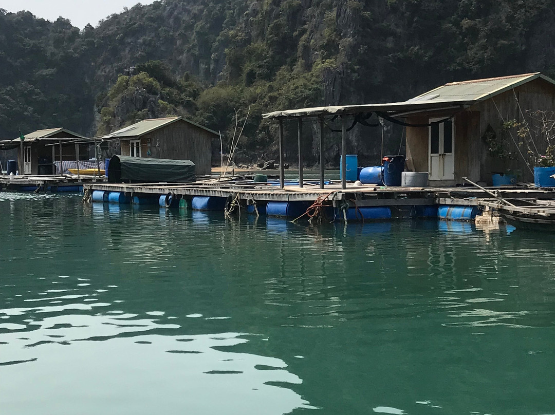 Cua Van Floating Village-下龙湾必去景点