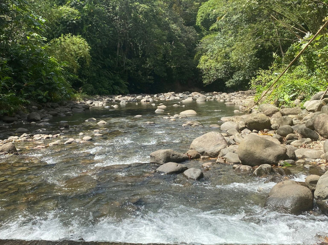 Canyon Moustique-Petit-Bourg必去景点