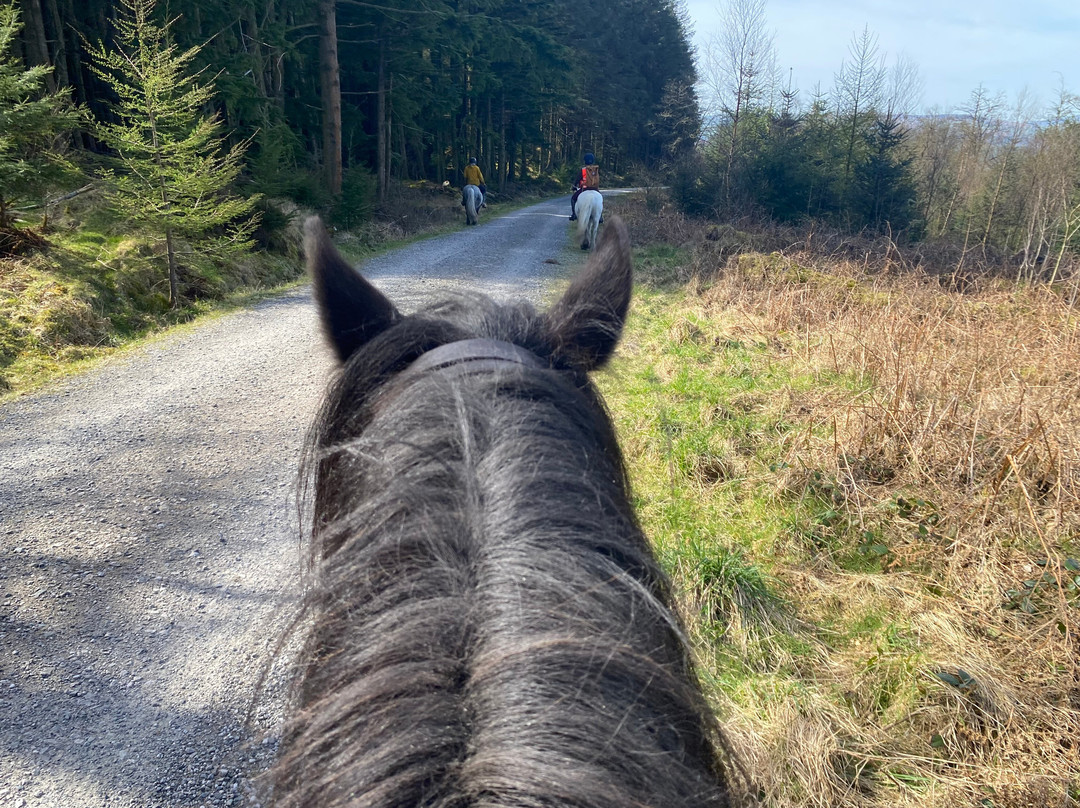 Fell Pony Adventures-温德米尔必去景点