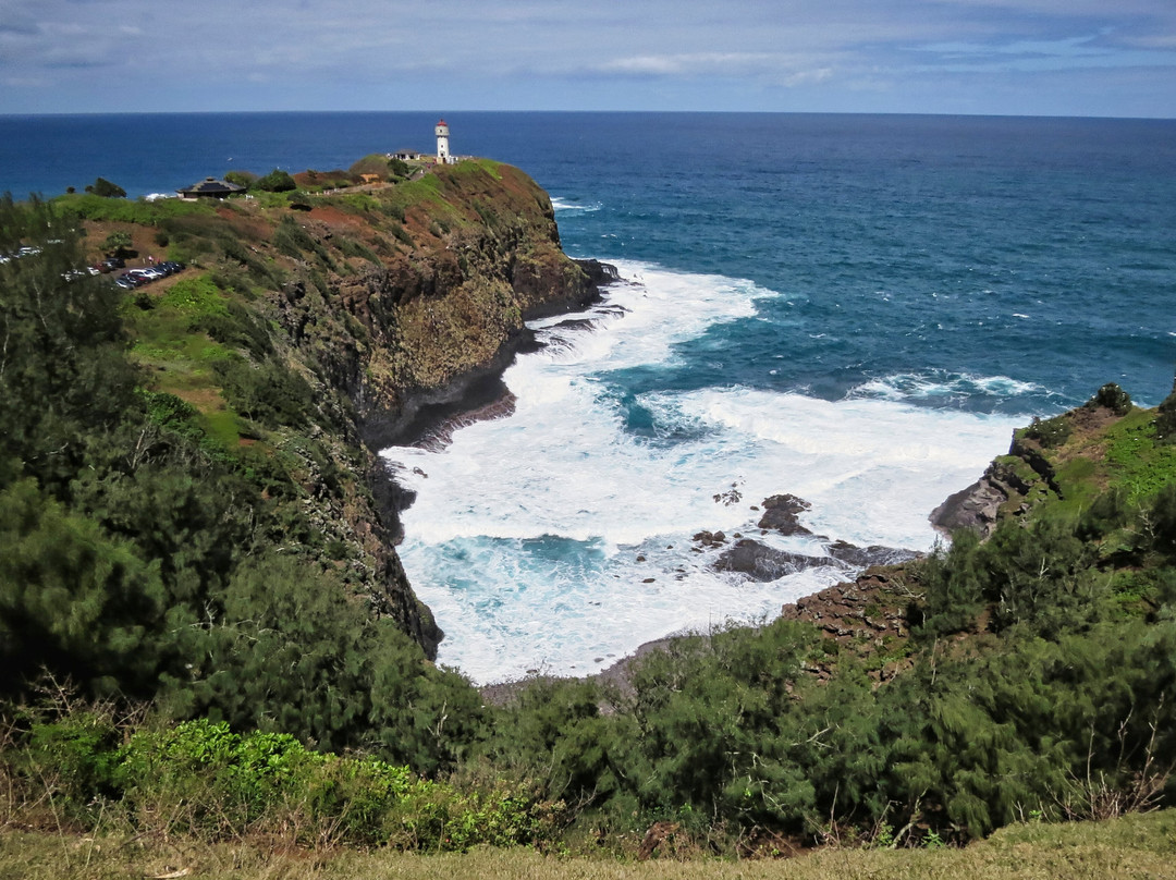 津劳也亚自然生物保护区-基拉韦厄必去景点