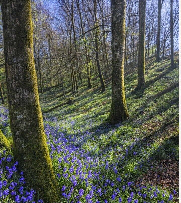 Dinefwr Estate-兰代洛必去景点