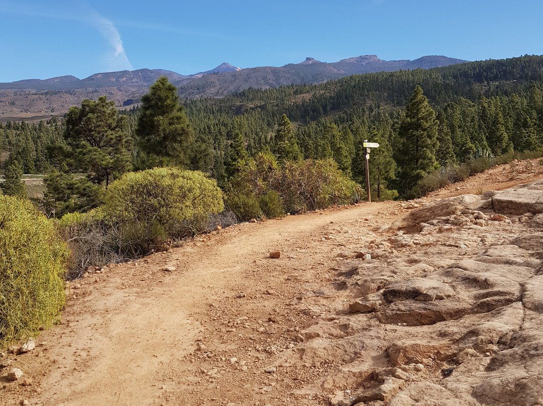 Tenerife Guided Walks-洛斯克里斯蒂亚诺斯必去景点