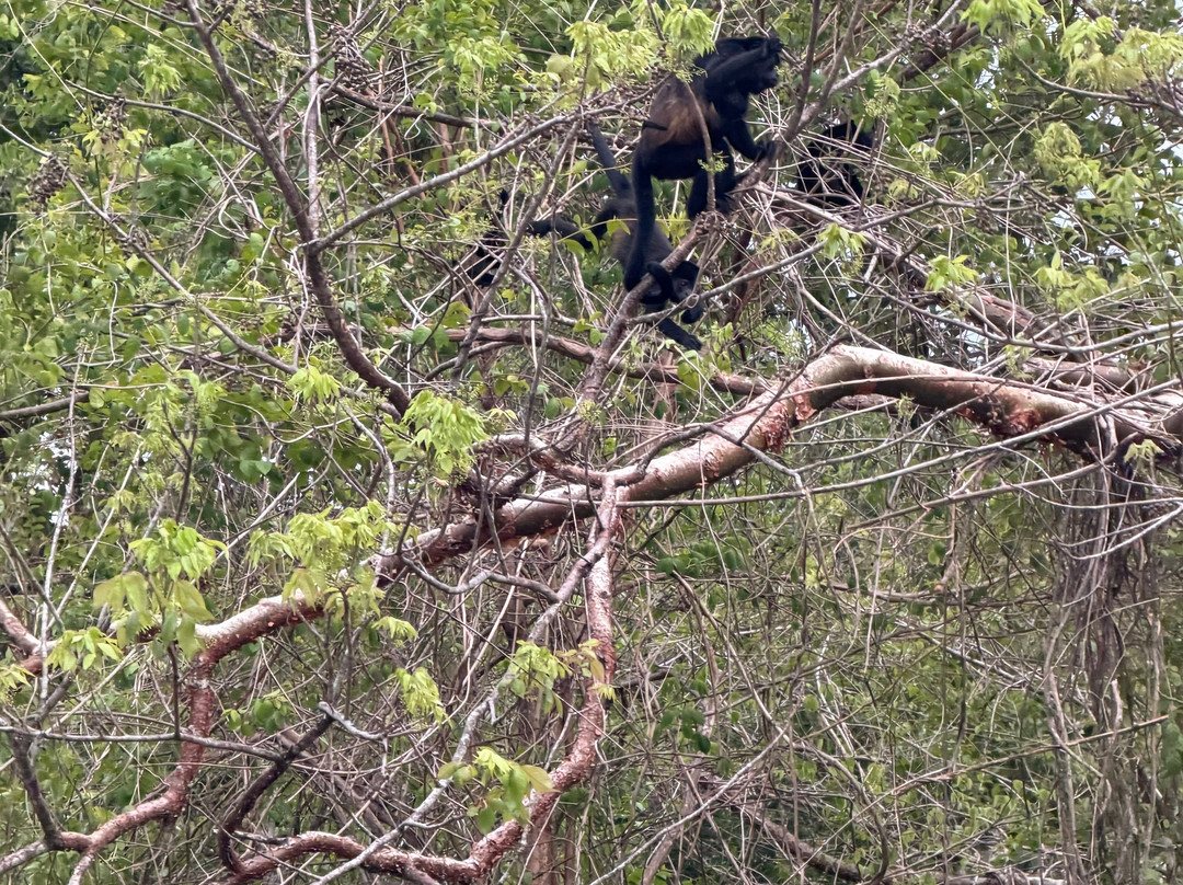 ILT Costa Rica-圣何塞必去景点