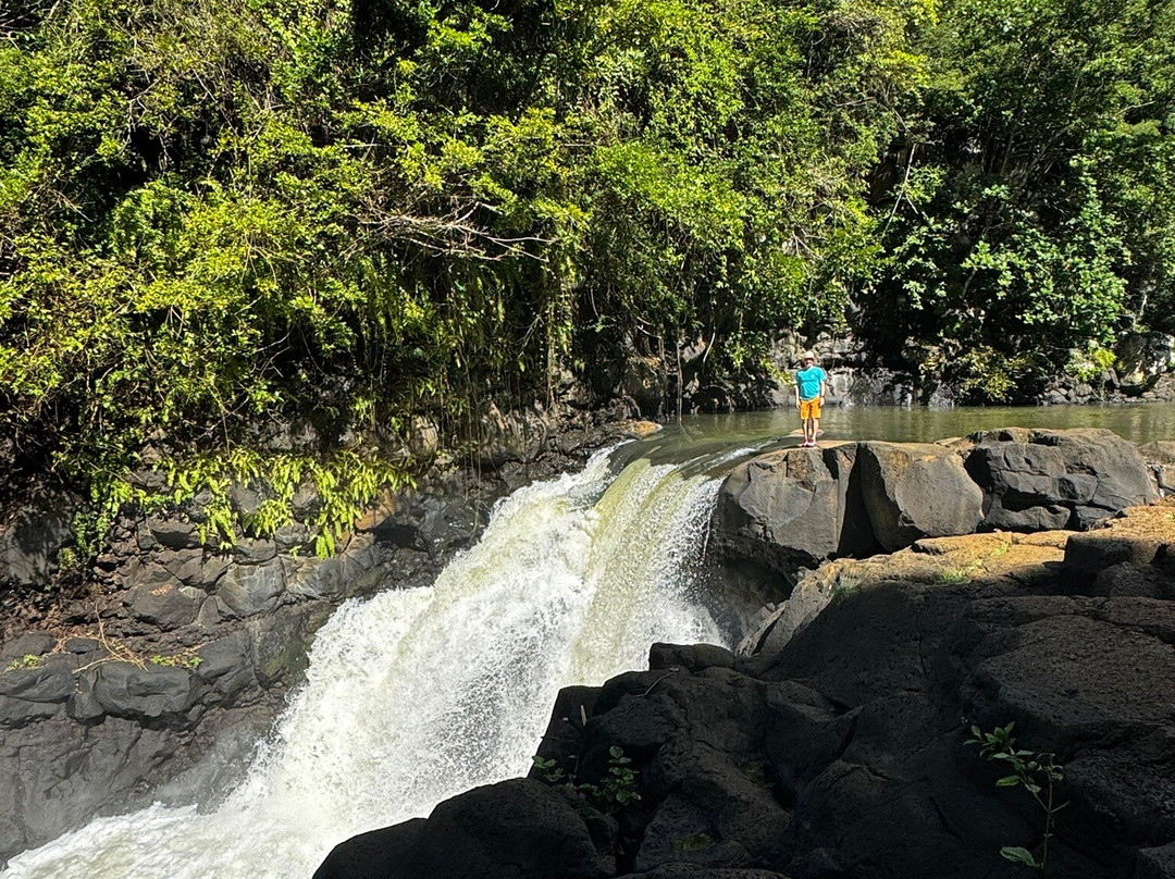 Grand River South East Waterfalls-博尚必去景点