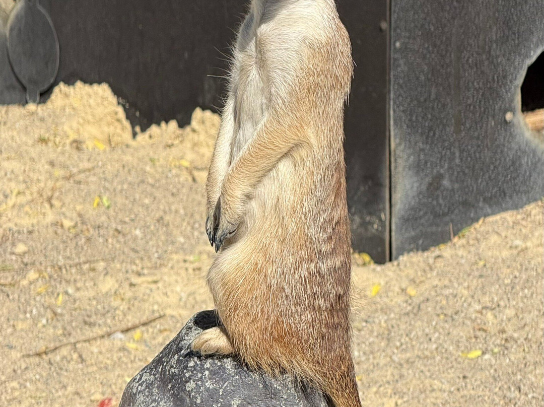 Chelyabinsk Zoo-车里雅宾斯克必去景点