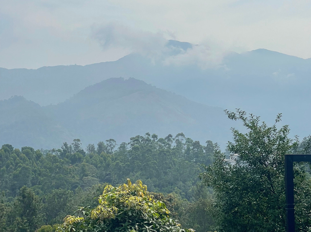 慕那尔落叶酒店主图