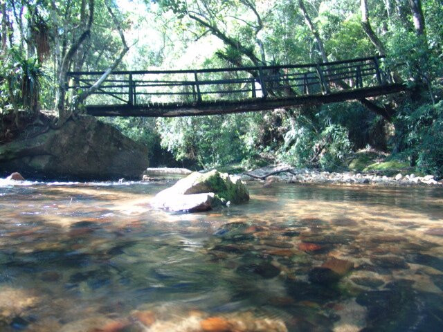 Cachoeira do Lageado-圣安东尼奥杜皮尼亚尔必去景点