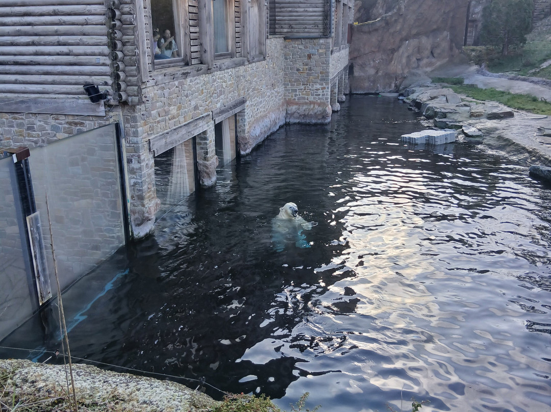 Pairi Daiza Resort主图