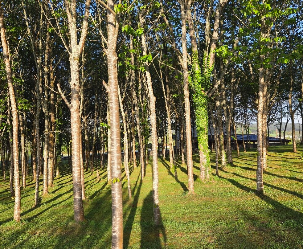 Magic Hill-圣地亚哥德孔波斯特拉必去景点