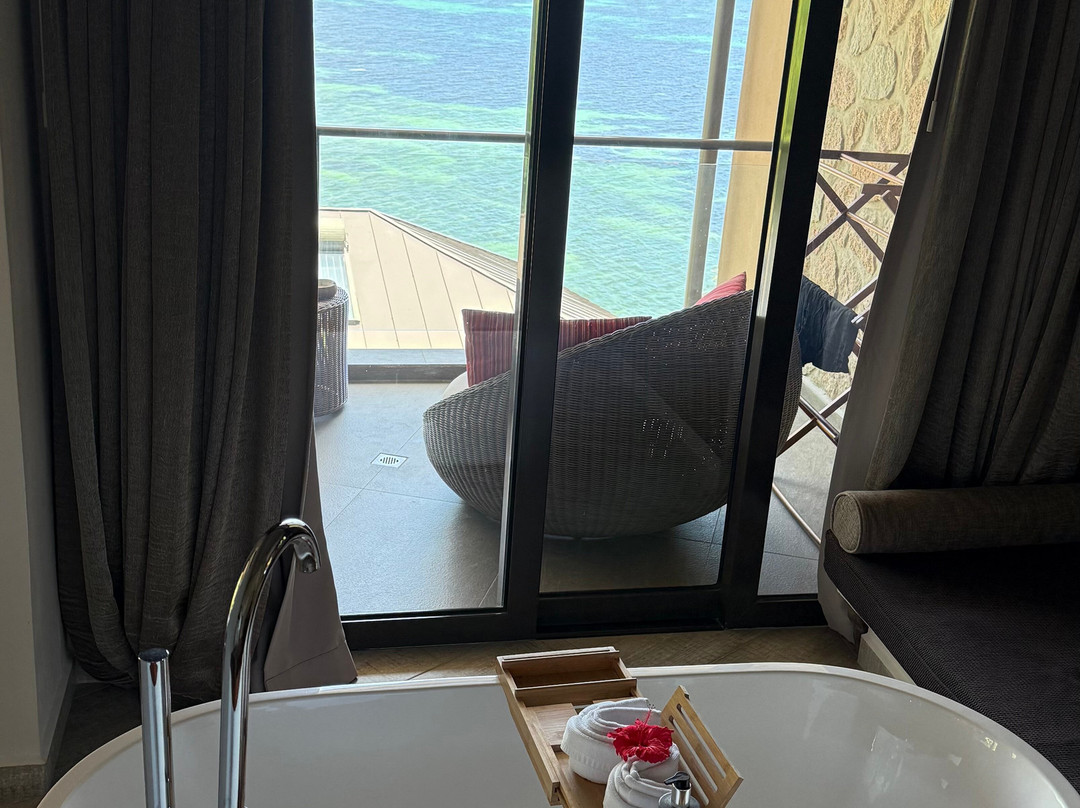 黑鹦鹉套房酒店主图