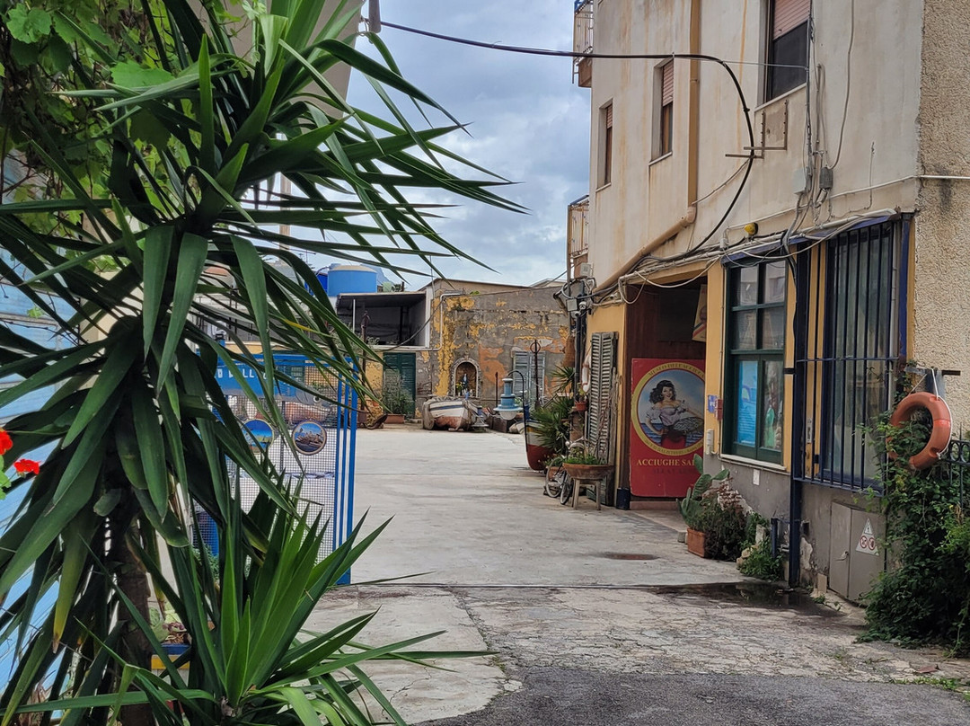 Museo dell'Acciuga-Aspra必去景点