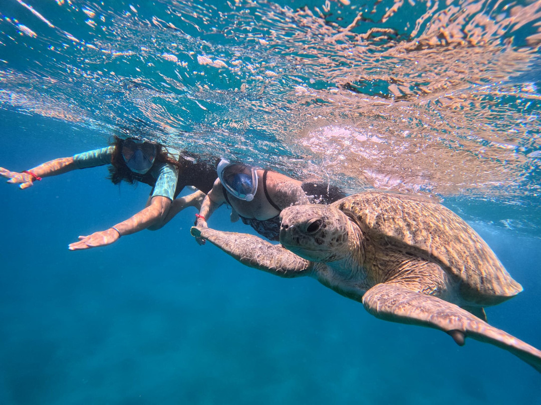 ÄGYPTEN - VIP unvergessliche exclusive Ausflüge mit FARA & HAMADA-Pfungen必去景点