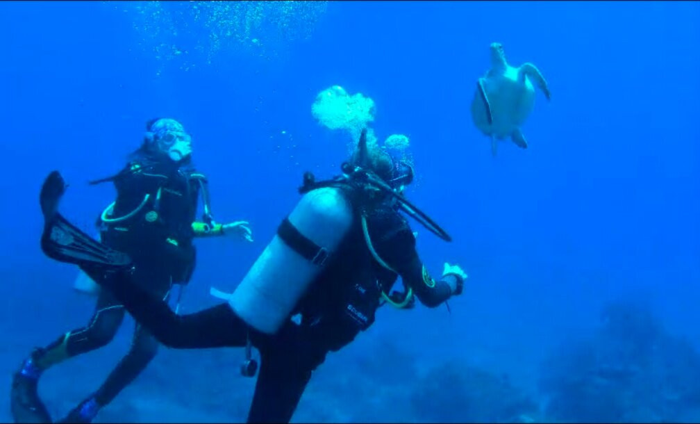 Sea Saba Dive Center-Windwardside必去景点