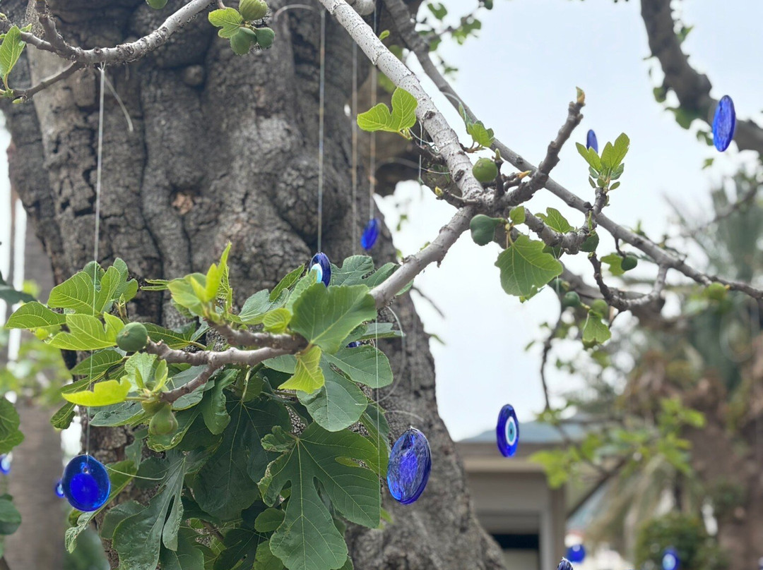 TUI BLUE 大蓝海主图