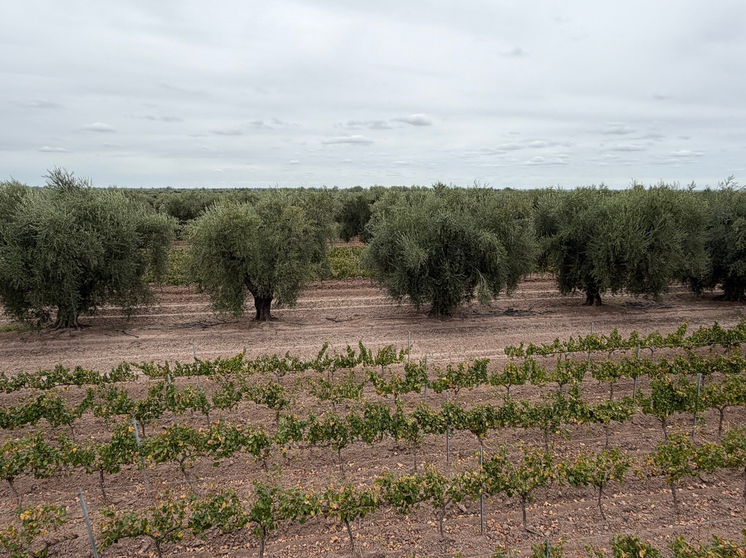 Finca El Paraíso - Bodega Luigi Bosca-Maipu必去景点