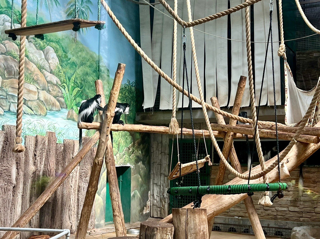 Kaliningrad Zoopark-加里宁格勒必去景点