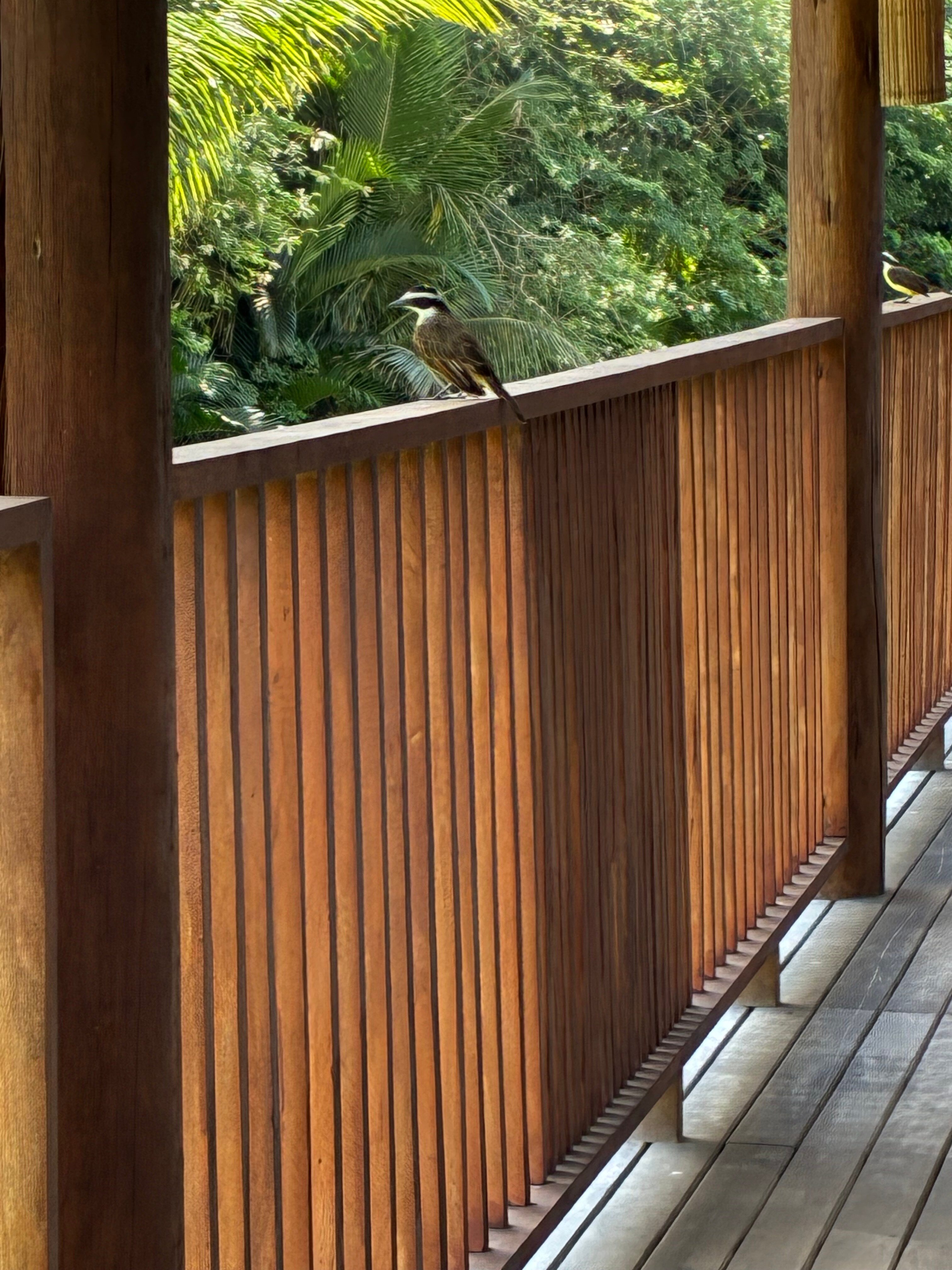 Club Med Trancoso-旅行者