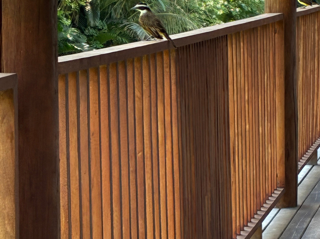 Club Med Trancoso主图