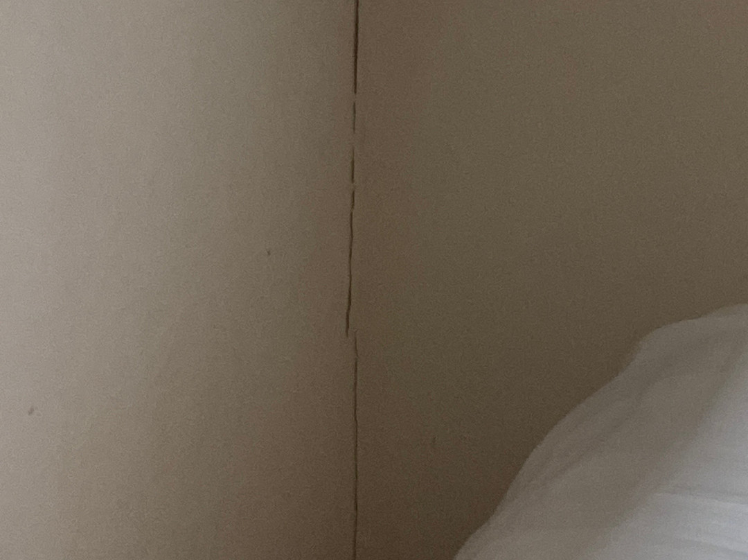 Hotel Semerink主图