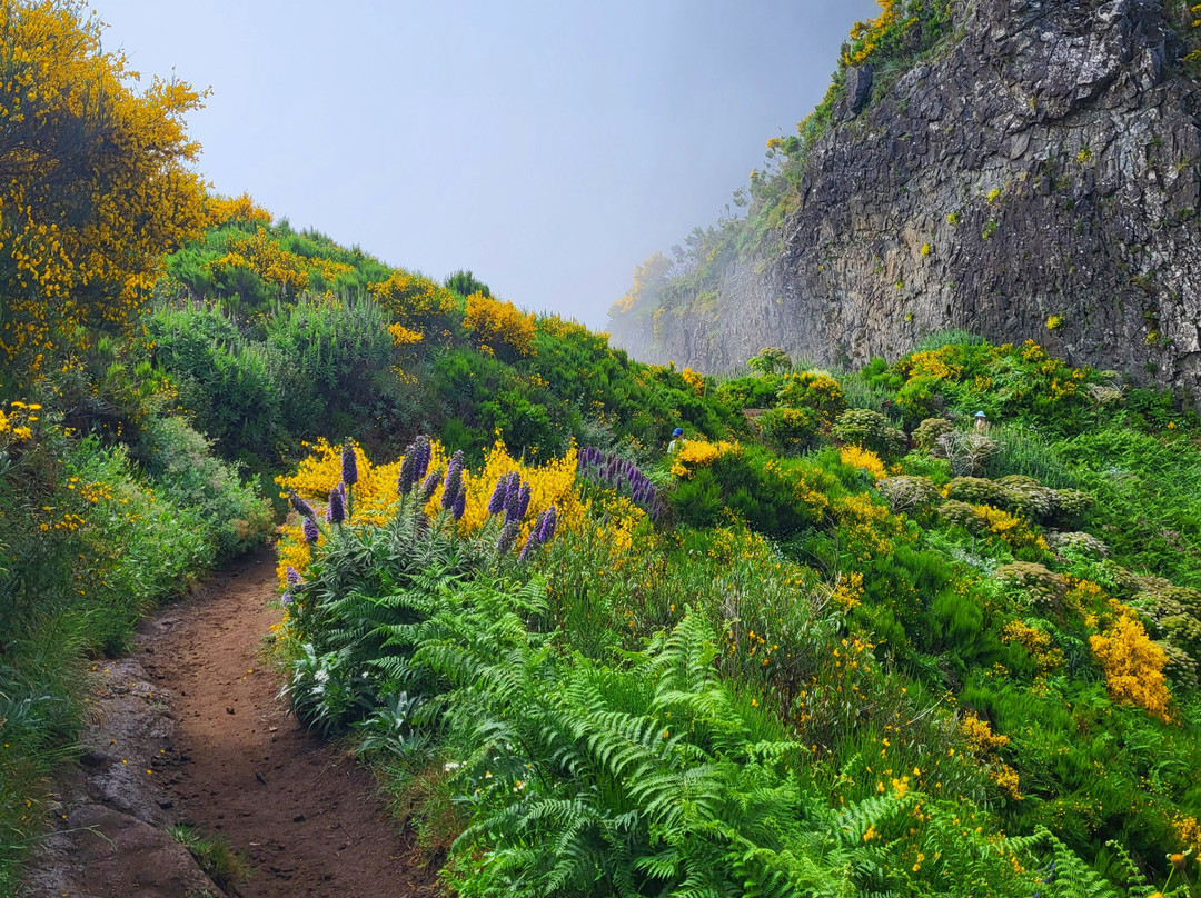 Pico do Arieiro-沙尔必去景点