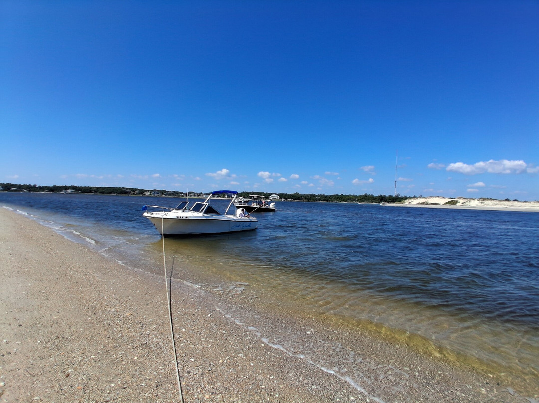 Masonboro Island Reserve-威尔明顿必去景点