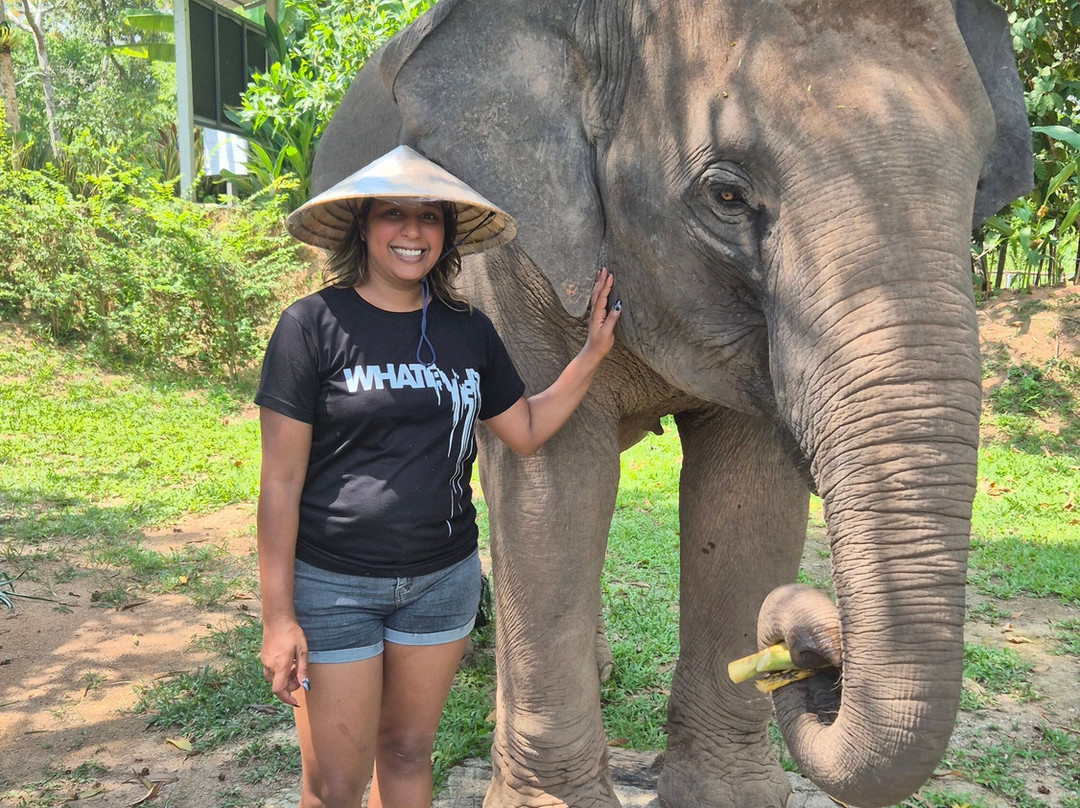 The Lake Phuket Elephant Home-Thep Krasatti必去景点