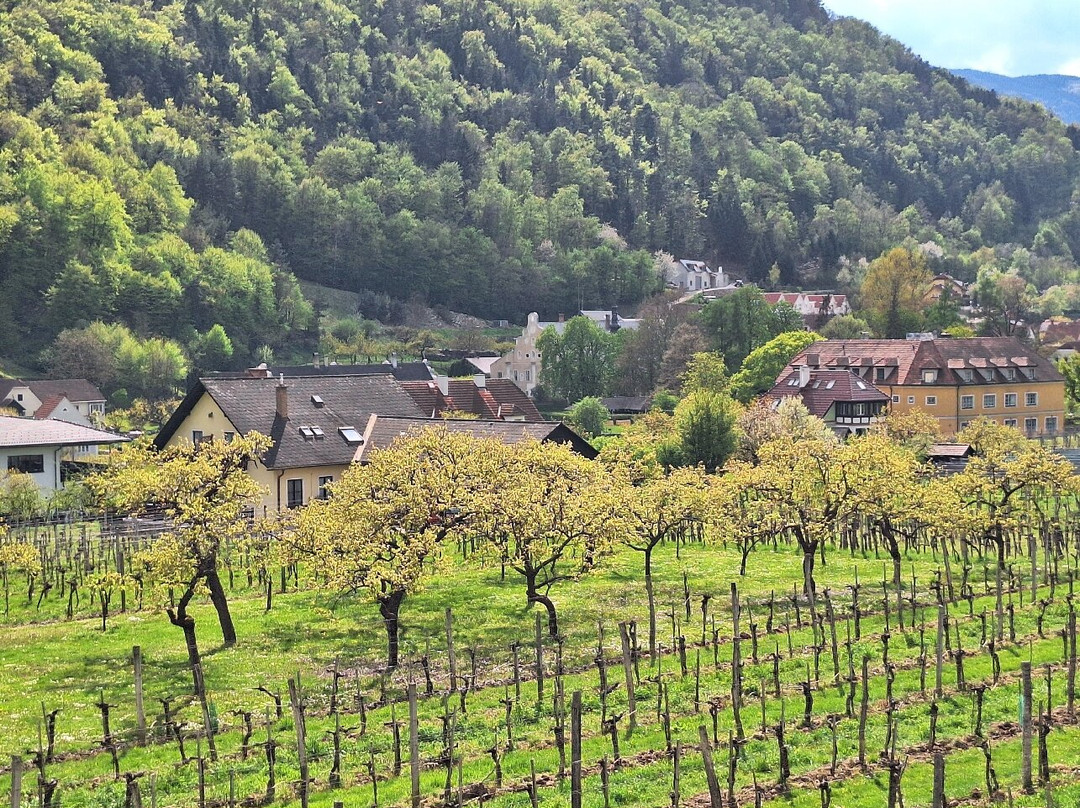 Boutiquehotel WEINSPITZ Wachau - ADULTS ONLY主图