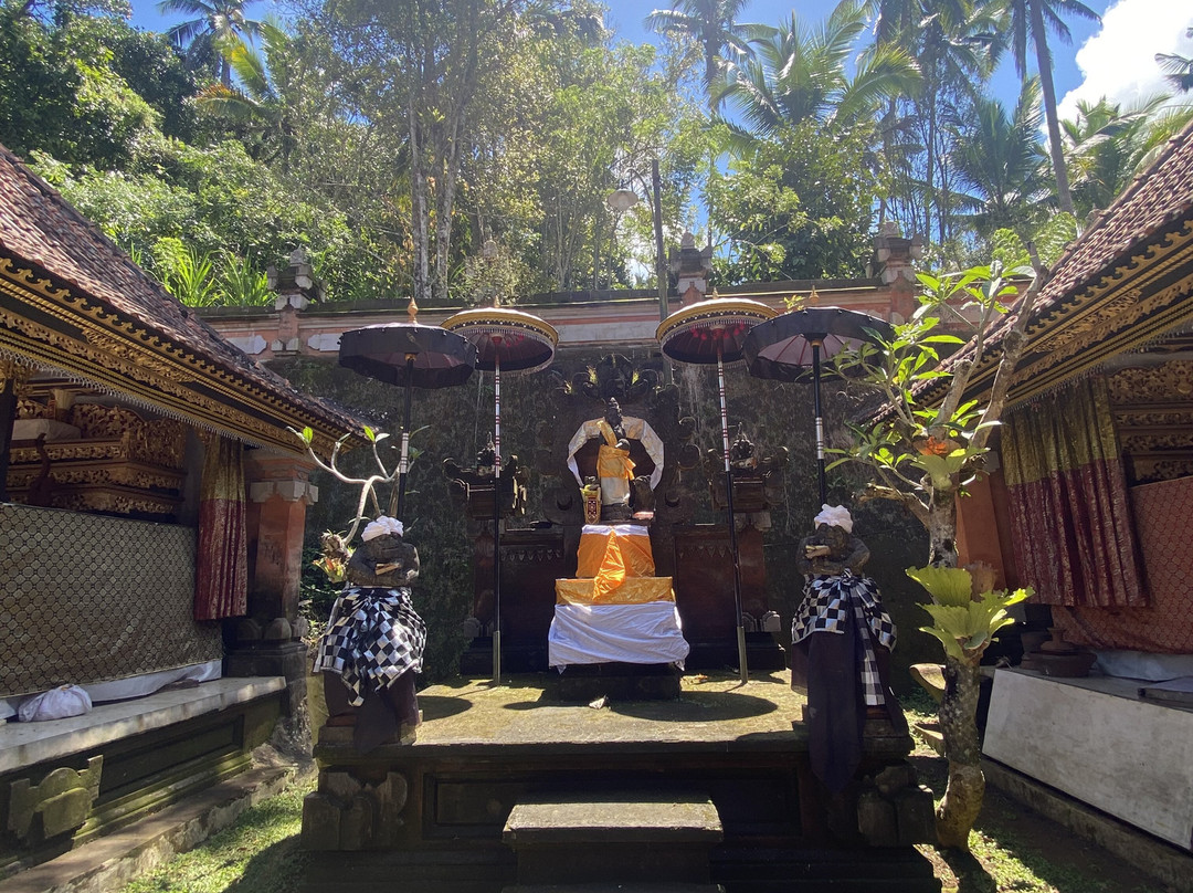 Cili Travel – Authentic Bali Adventures-沙努尔必去景点