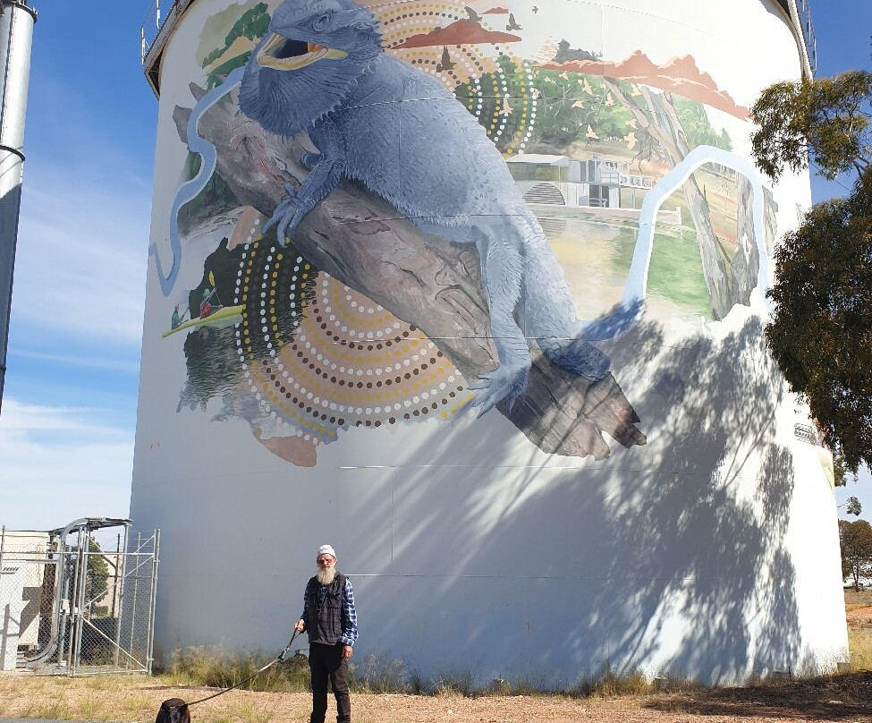 Narrandera Water Tower Art-Narrandera必去景点