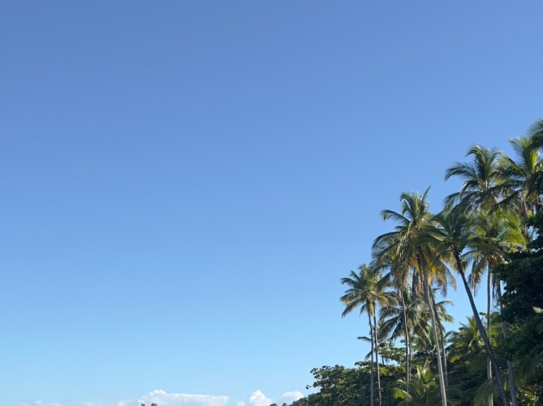 Praia dos Coqueiros-特兰科苏必去景点