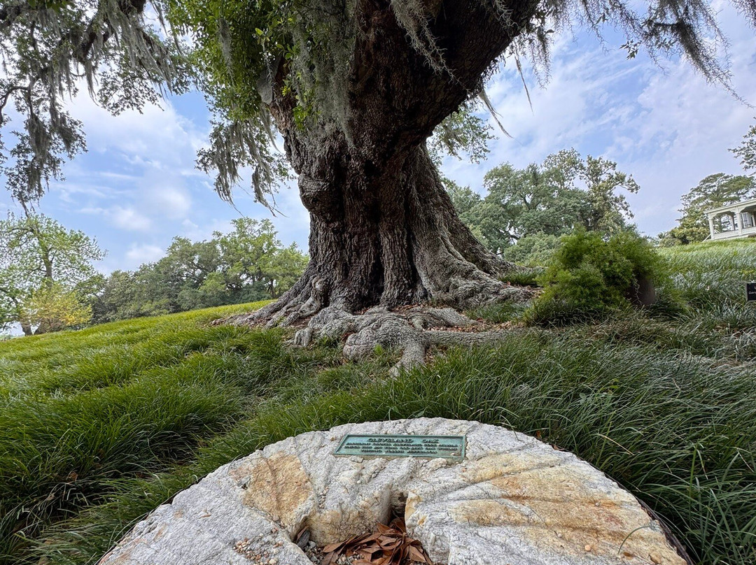 Rip Van Winkle Gardens-新伊比利亚必去景点