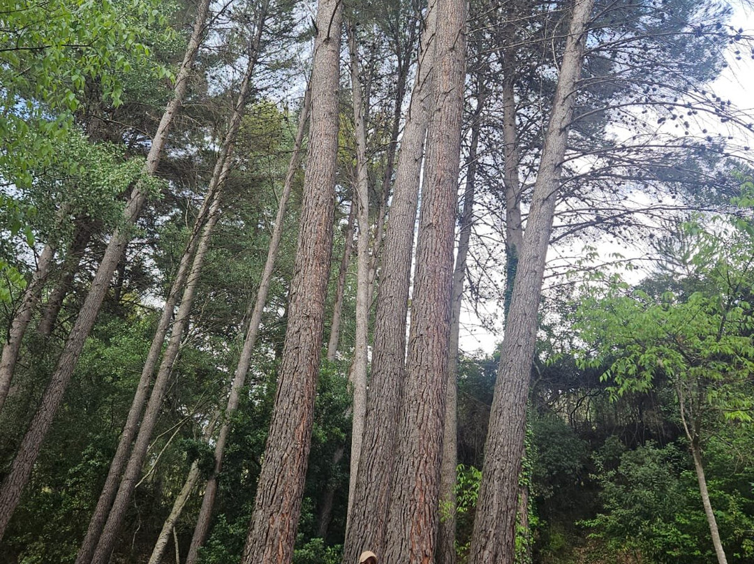 Ermita de Santa Ana-Onil必去景点