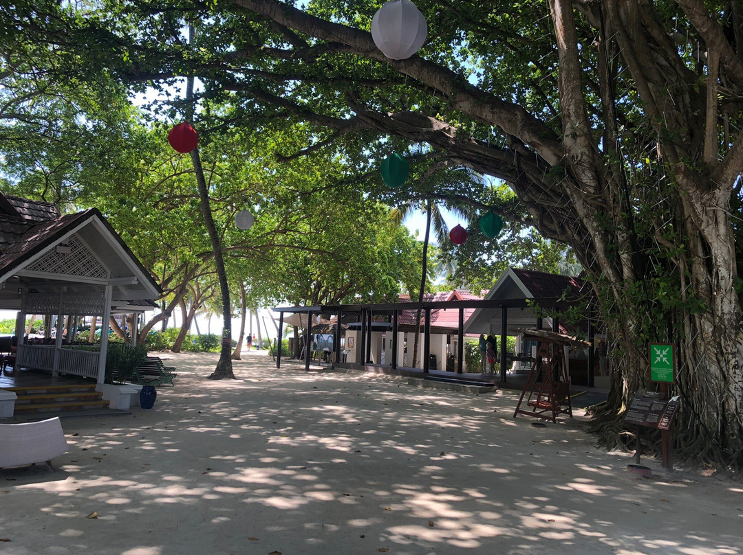 Club Med卡尼岛度假村主图