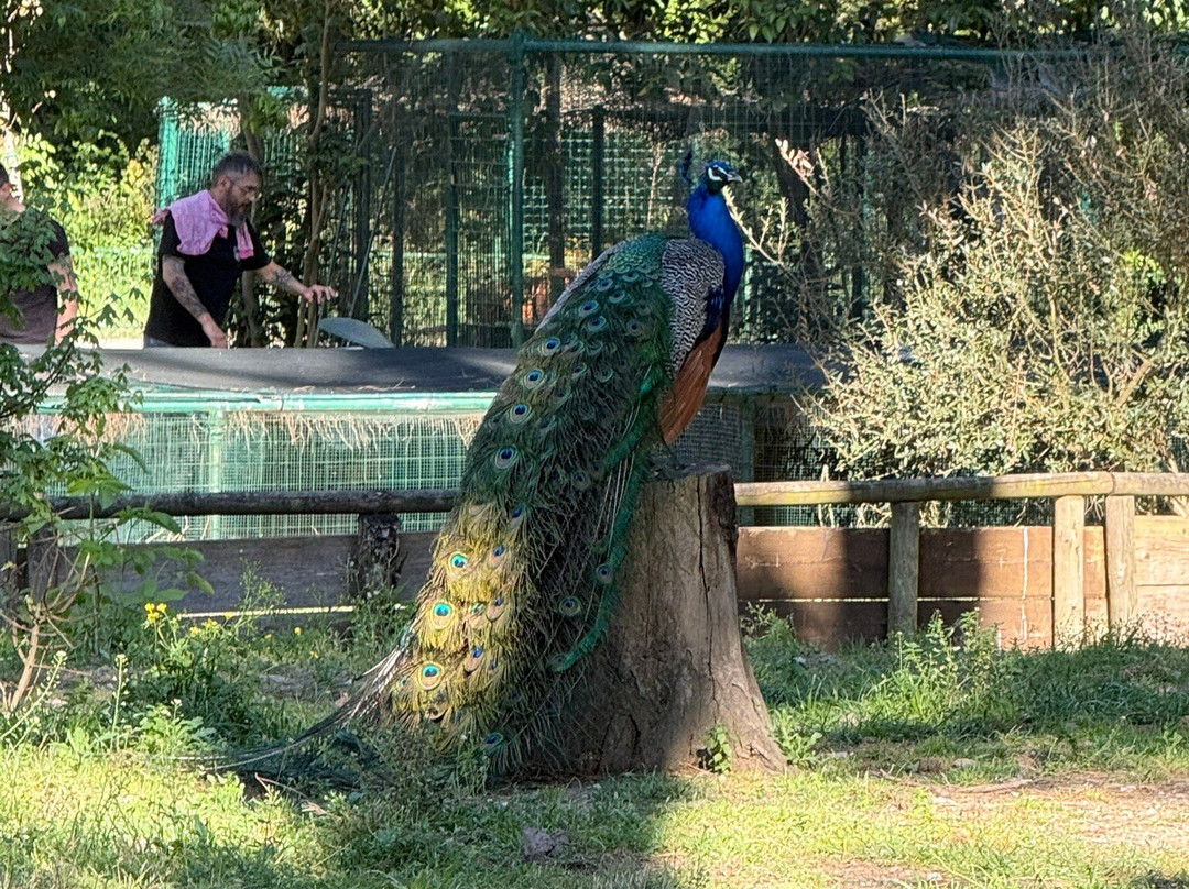 Parco Naturale Di Cervia-切尔维亚必去景点