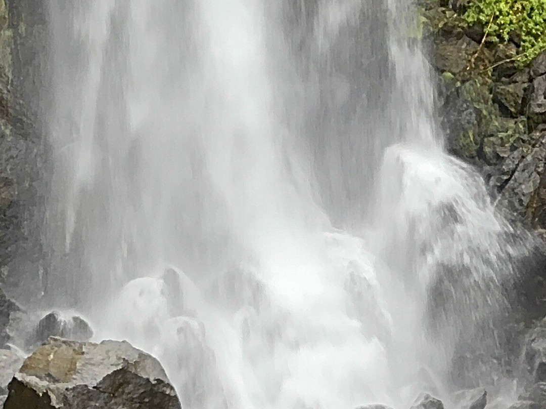 Trafalgar Falls-Morne Trois Pitons National Park必去景点