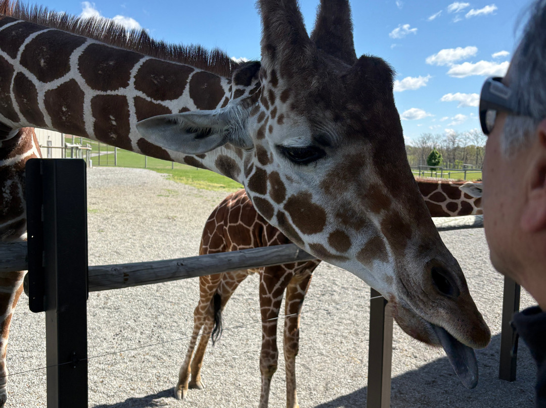 Lake Tobias Wildlife Park-Halifax必去景点