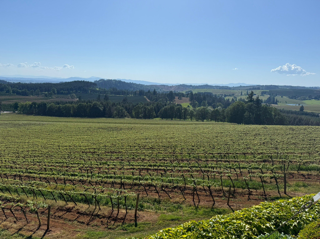 Willamette Valley Vineyards-Turner必去景点