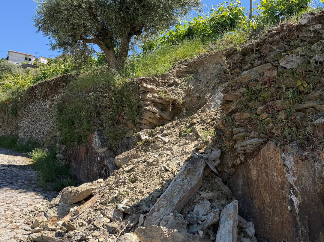 Douro Walks-Ervedosa do Douro必去景点