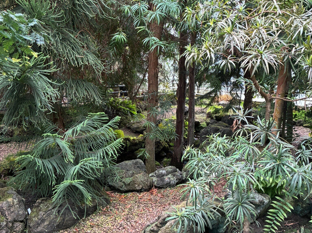 Pinetum Blijdenstein-Hilversum必去景点