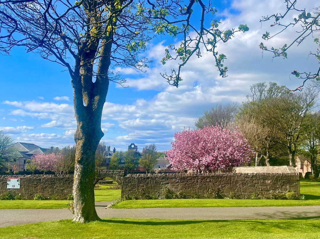 Springfield Rose Garden-Carmyllie必去景点