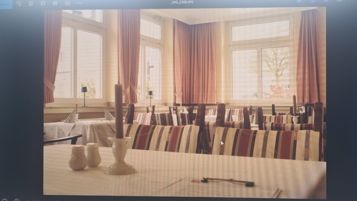 Hotel Villa Luise-旅行者