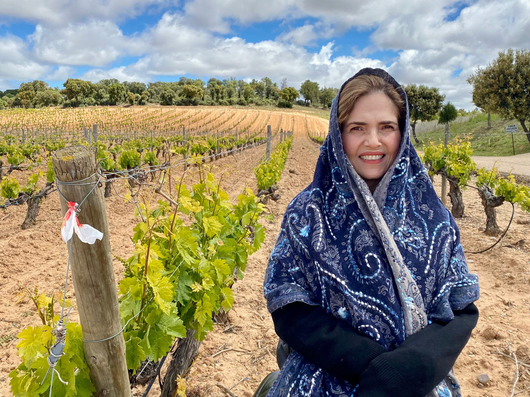 Bodegas Y Vinedos PradoRey-Gumiel Del Mercado必去景点